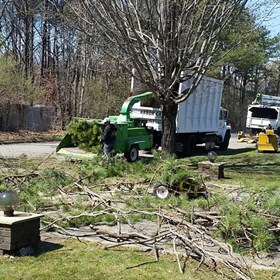 Hedge Trimming Huntington NY: Arbor Tree Trimming